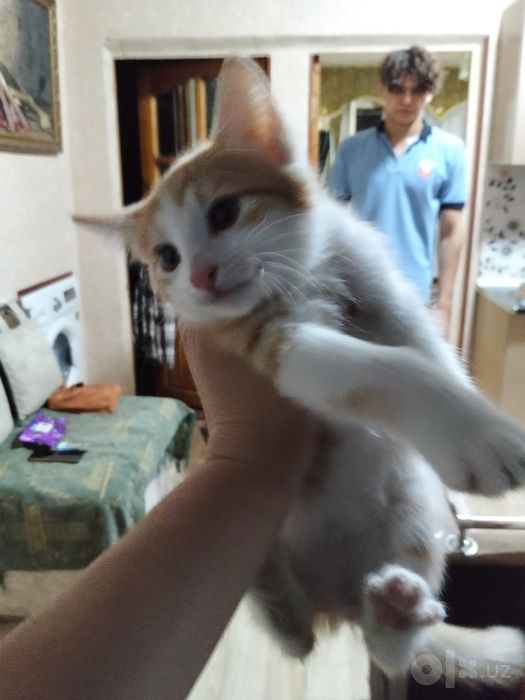 Hadiyaga beriladi