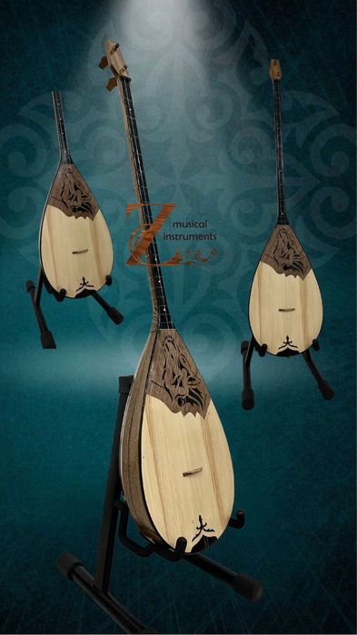 Домбыра кәсіби және әуесқой