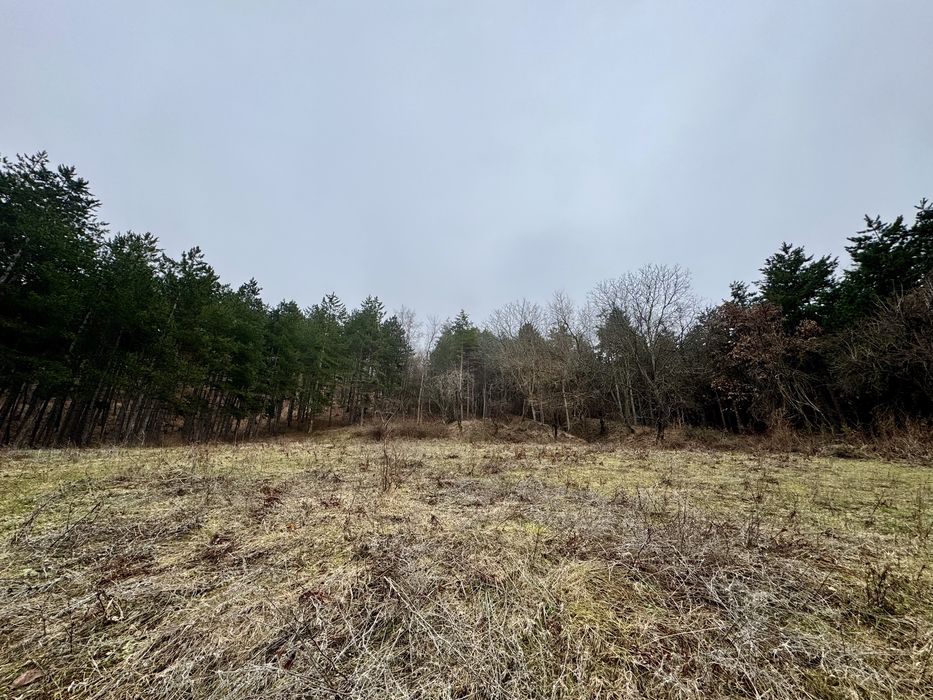 Продава се Парцел в с. Тополово, Област Пловдив - 1280 кв.м за 43 €/кв.м - Снимка #3