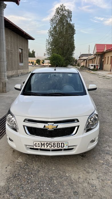 2019 Moshina bir qoʻl egadan