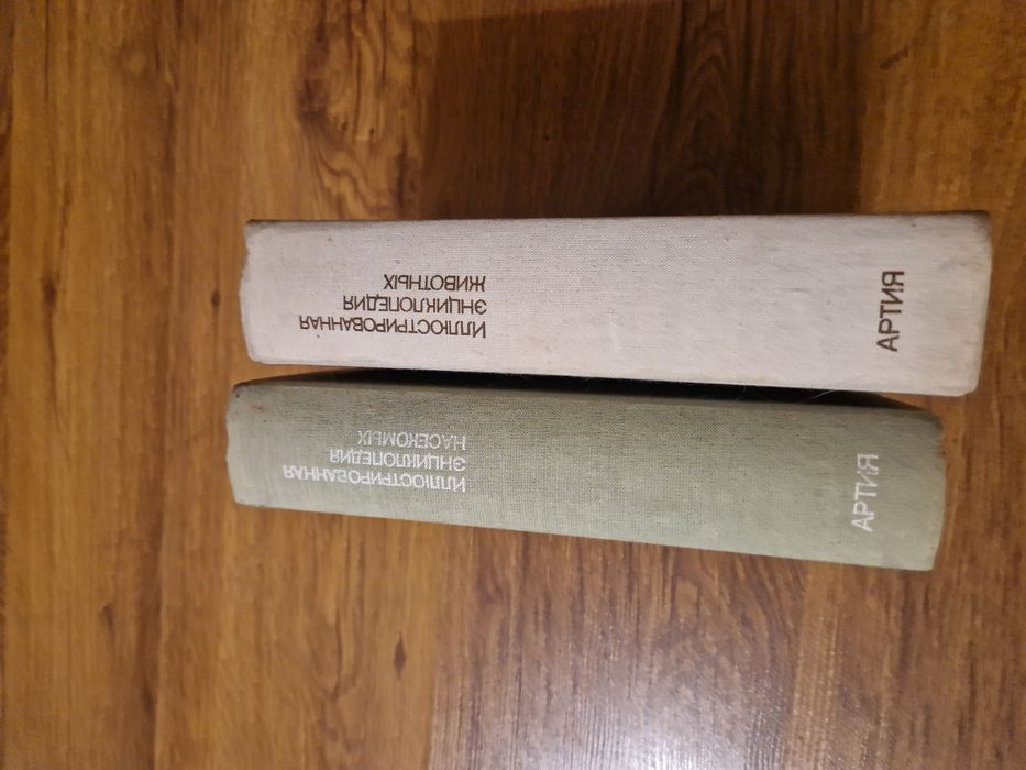 Шантарам  книга роман