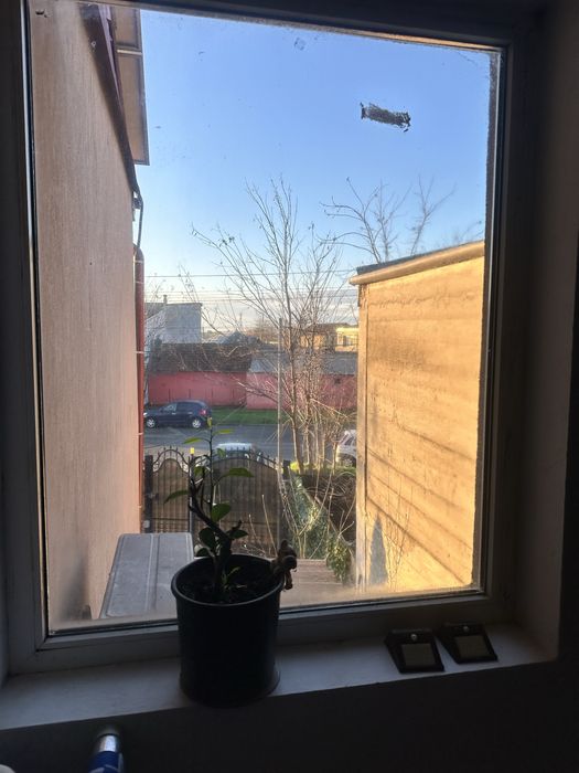 Vand 3 geamuri termopan in stare perfecta