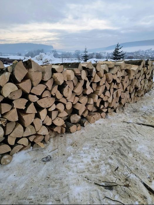 Lemne de foc esenta tare