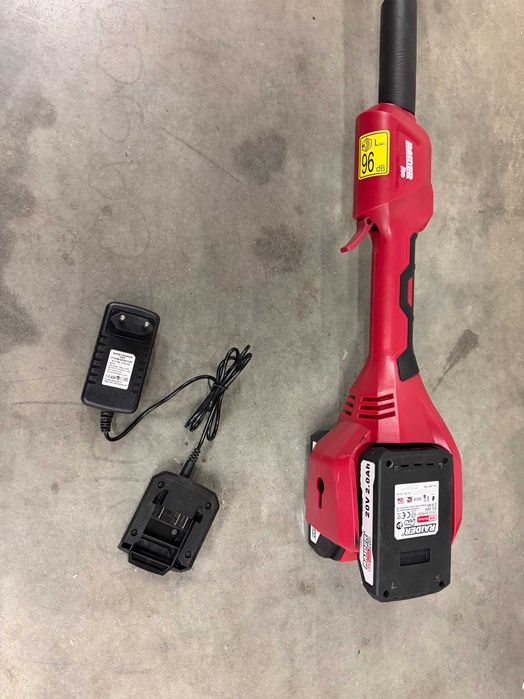 R20 Коса акум. Li-ion 300mm 2x2Ah RDP-SCBC20