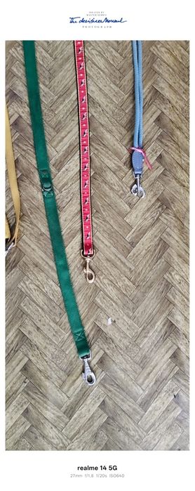 Zgarda pentru ciinii Italia