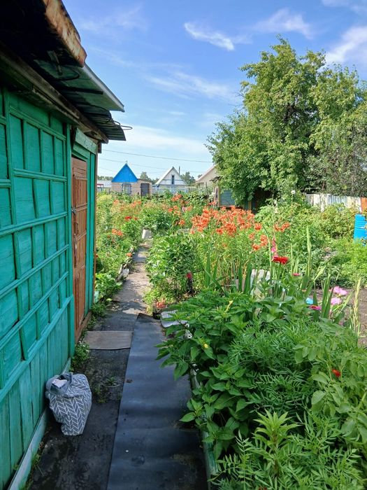 Продам дачу в Новопавловке