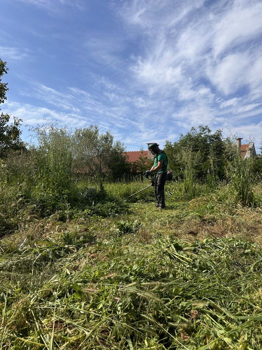 Почистване на изоставени парцели/дворове/запустели терени/Мулчиране