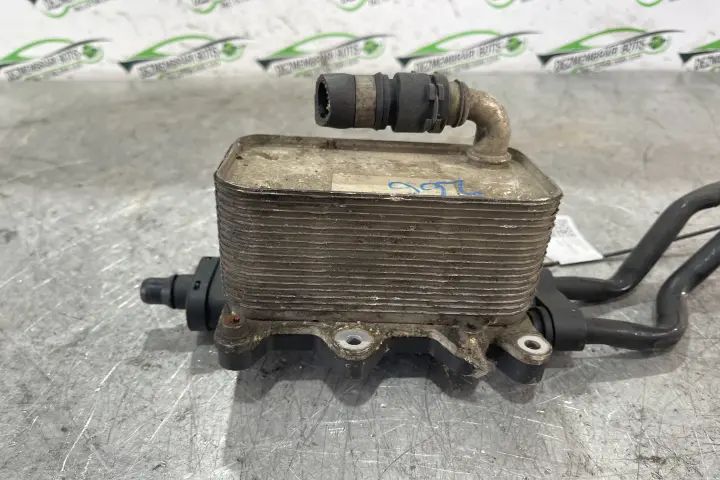 Termoflot racire ulei 235411908 / 2 354 119 08 BMW Seria 5 2004