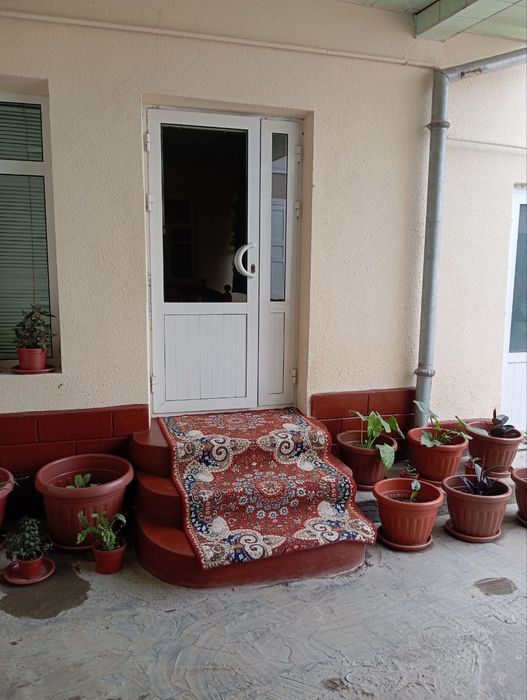 Uchaska zangi otadan