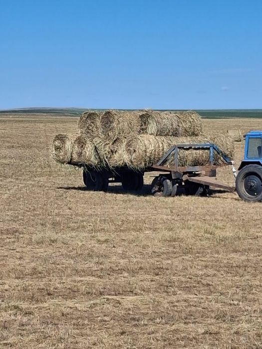 Продам сено лиман житняк