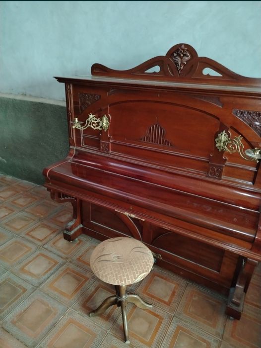 Piyanina sotiladi