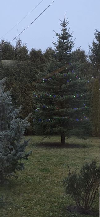 Revelion in Bucovina