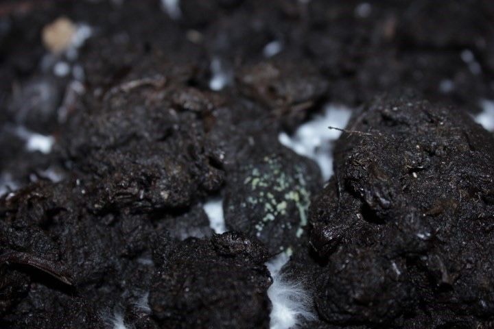 Дерозал Евро