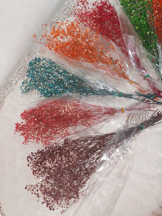 Сухоцветы гипсофила