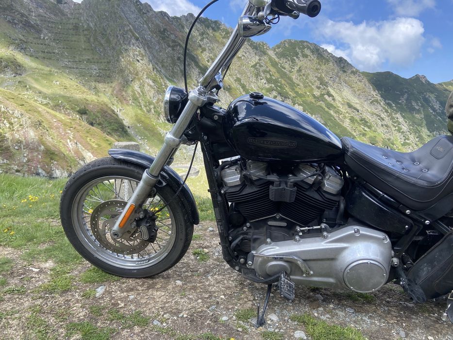 Harley Davidson softail standard