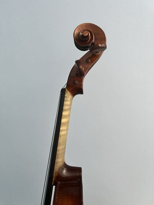 Vand vioara veche, Zeta Eva Yamaha