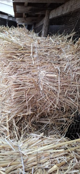 Суданка пресс 10000 сум,, бийдай пресс 8 мын сумнан сатылады