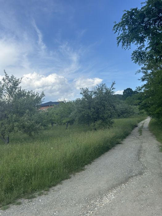 TEREN DE VÂNZARE – Curtea de Argeș | 3000 MP