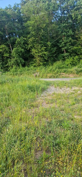 Vând teren intravilan între Baile Felix și Hidisel de jos