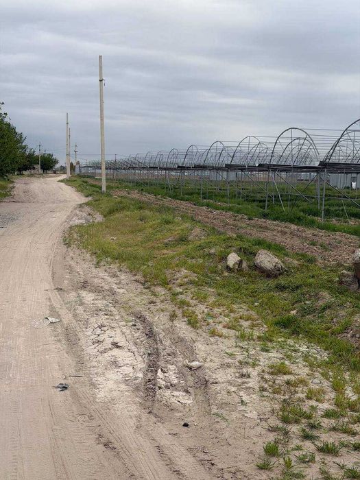 Чиноз туманида 1 гектар теплица сотилмоқда