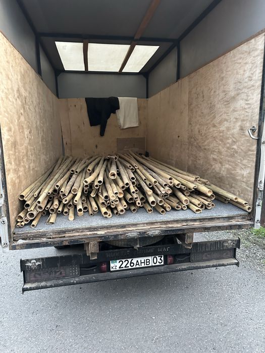 Продам бамбук