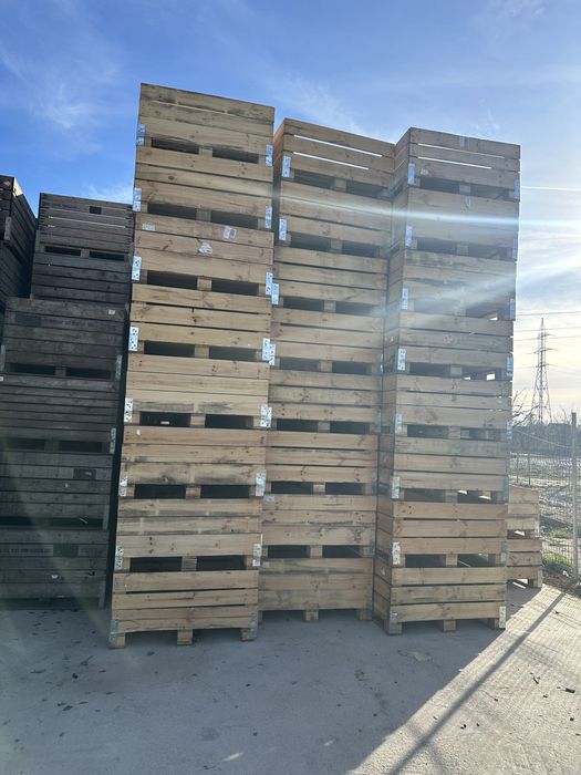 Boxpaleti lemn in stare foarte buna !