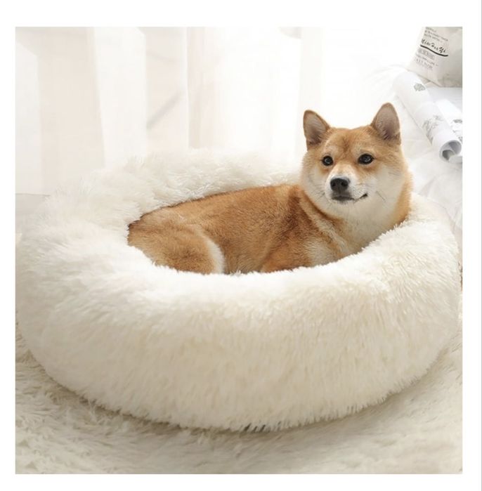 Мысыктын заттары сатылады