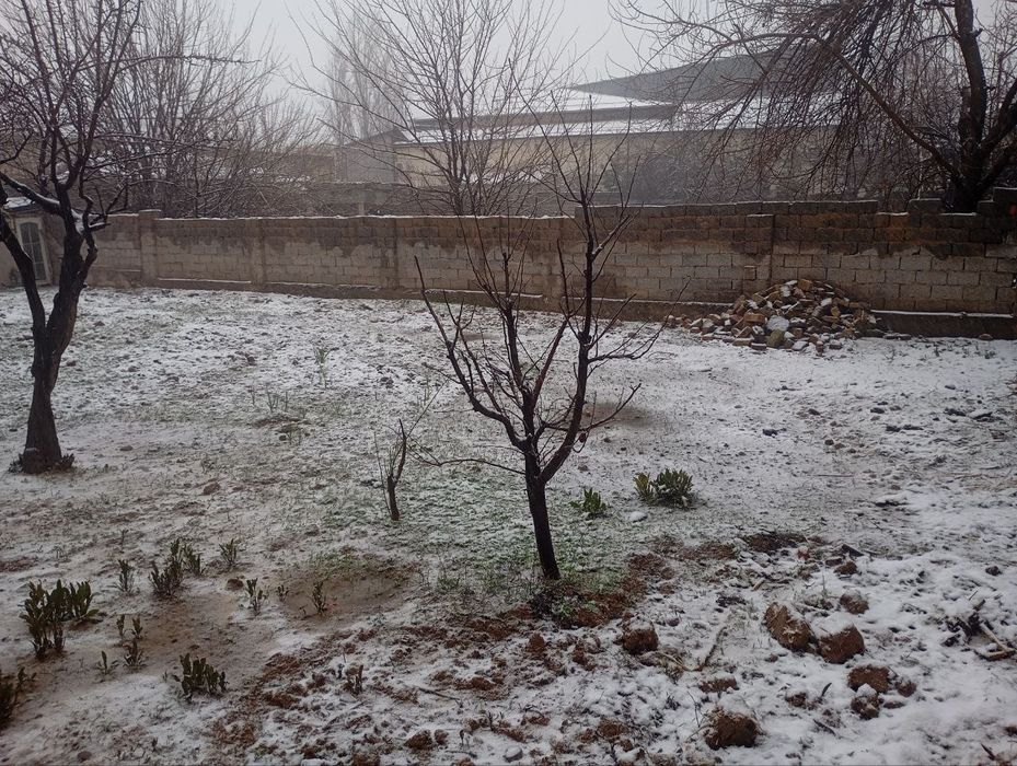 Продается участок вдоль дороги Шуробозор