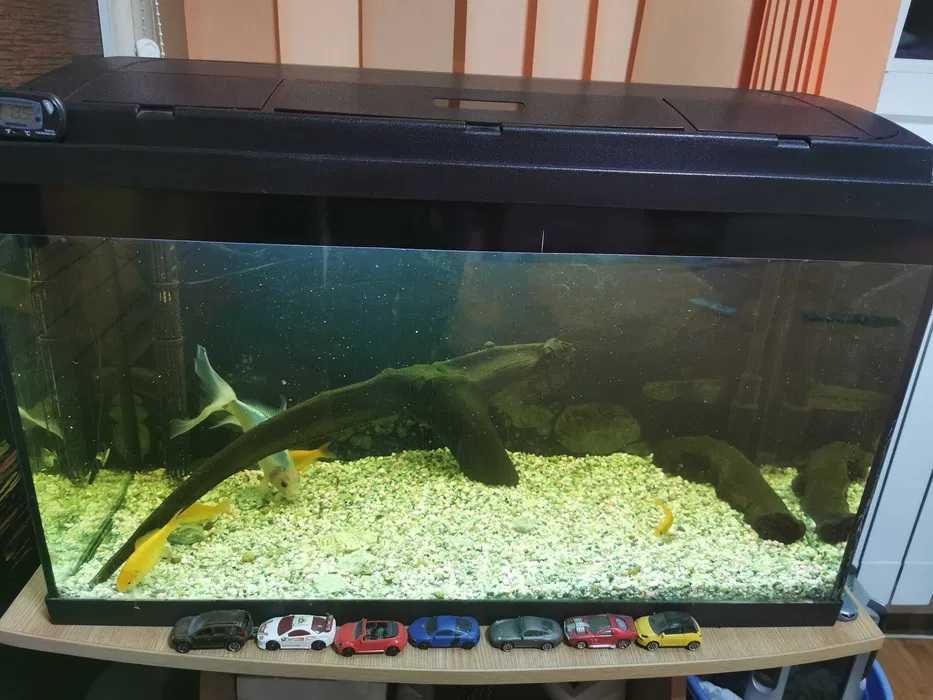 Vând/schimb acvariu 80L cu toate accesoriilor