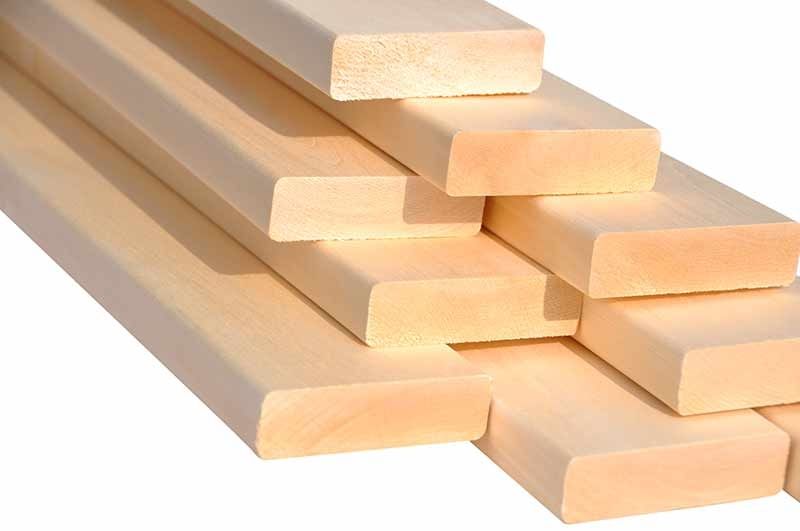 полог липа в Астане