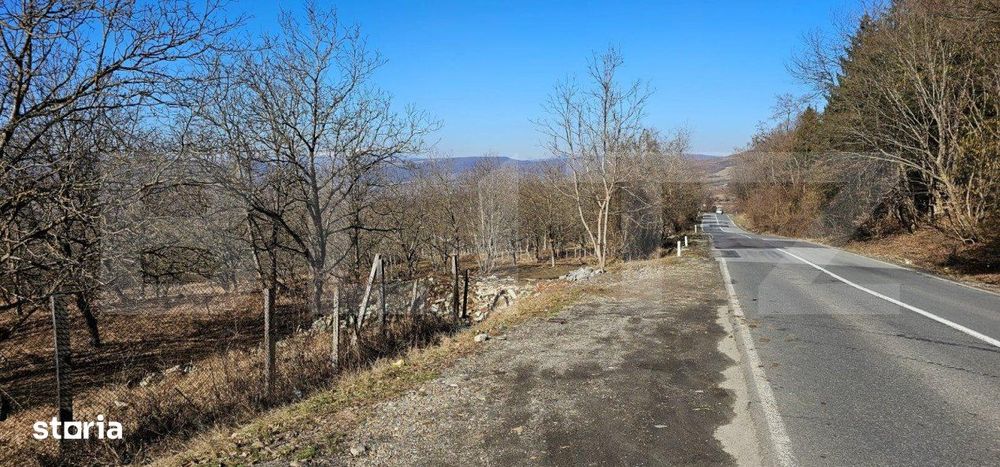 Teren de 30 de ari, Dumitra, 5km de Bistrita