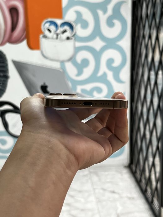 iPhone 16 Pro  Max