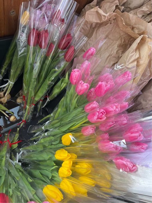 Свежие тюльпаны к 8 марта