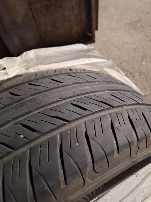 Продам летние шины Dunlop