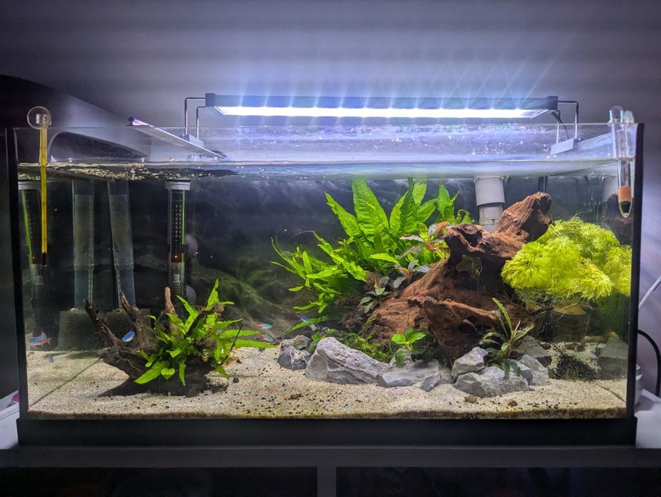 Acvariu 54L Complet