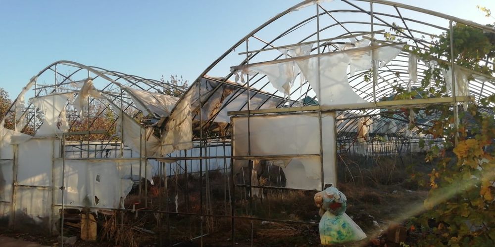 Теплица,   парник