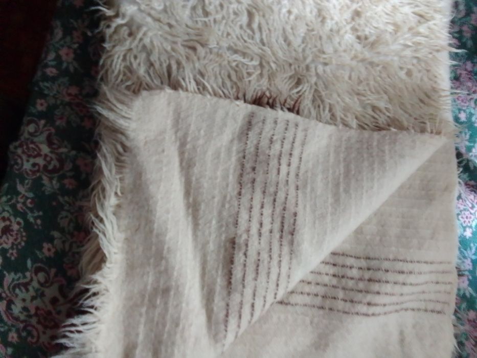 Голям родопски китеник вълнен