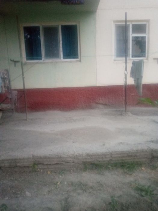 1х квартира холати ало