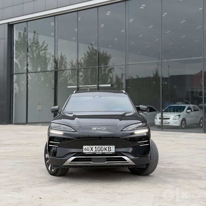 Byd champion restyling