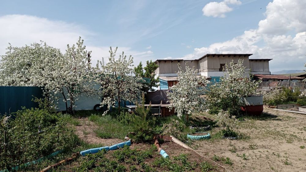 Продам дом с.Песчанка