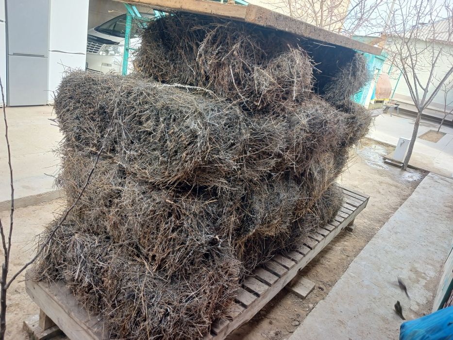 Жусан шоп сатылады