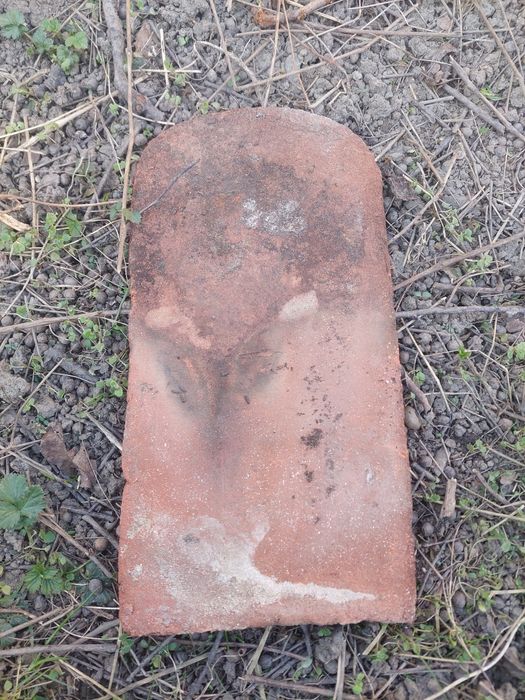 Țiglă solzi și coame