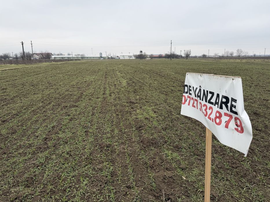 Teren Tartasesti/Baldana 25min Buc 1030mp la 500m de Scoala Tartasesti