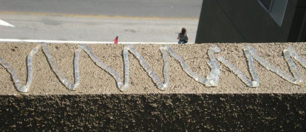 Кушларга карши гель.