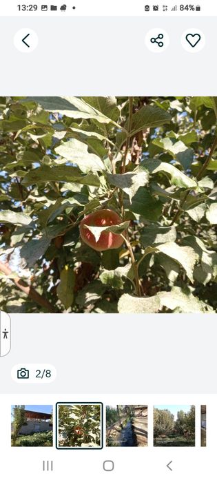 Участок  27 соток земли, дом,