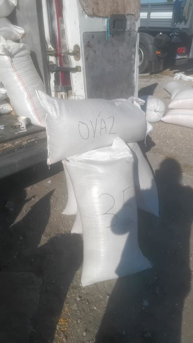 Vand ovaz pus la saci cusuti