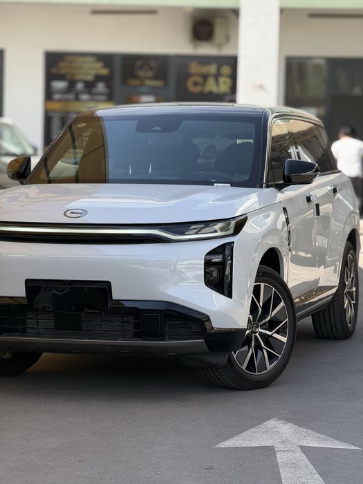 Aion Другая 2026