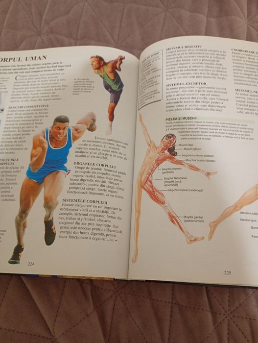 Enciclopedia copiilor în stare nouă