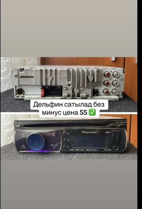 Пионеер Делфин 5