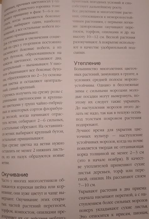 Цветы на вашем участке